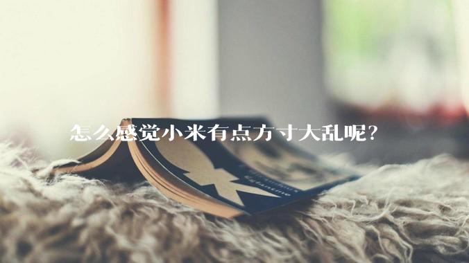 怎么感觉小米有点方寸大乱呢？
